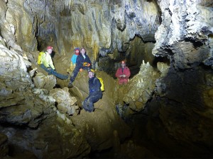 Rumbling Gut cave Waitomo New Zealand
